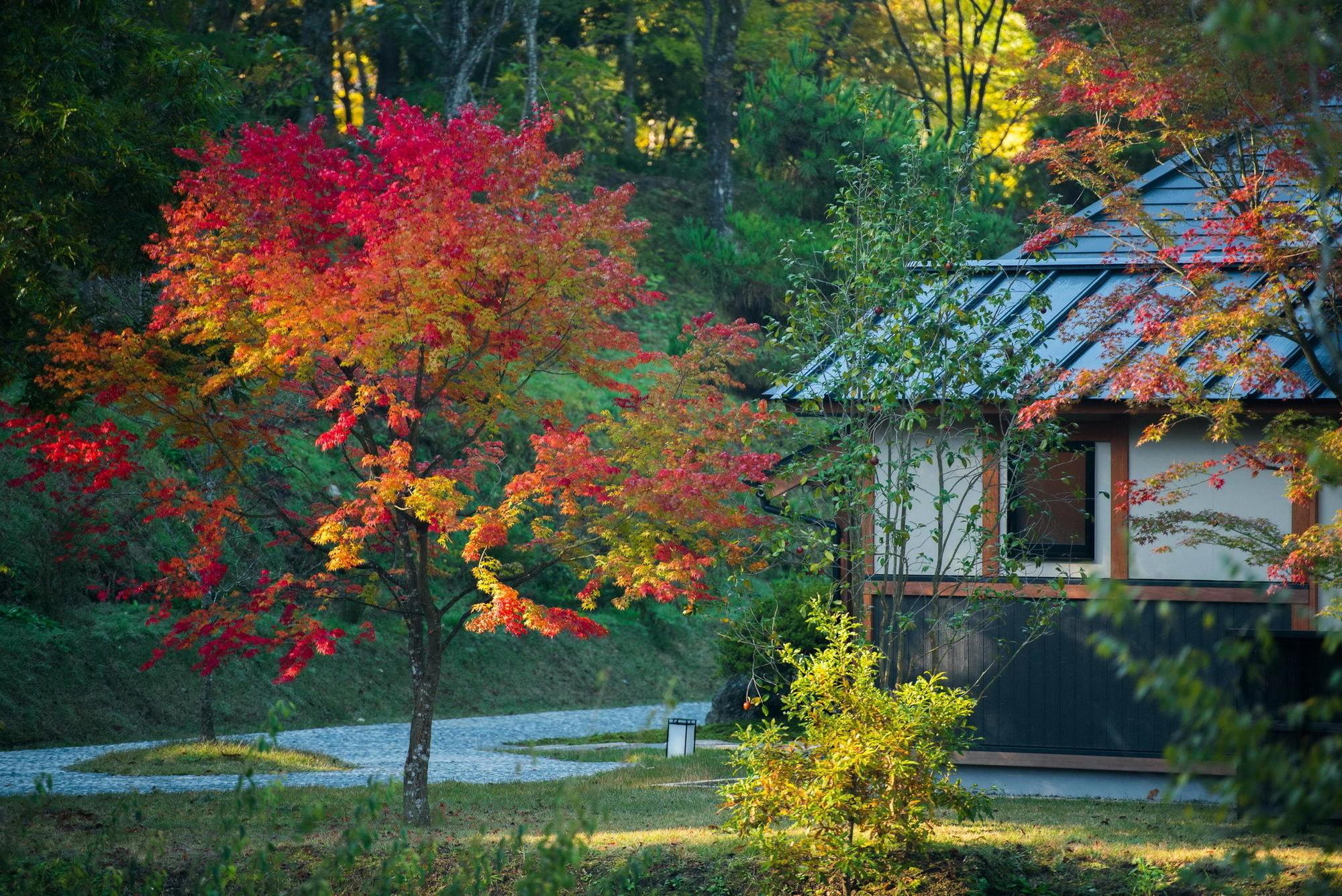 Miyama Sansou Hotell Minamioguni Exteriör bild
