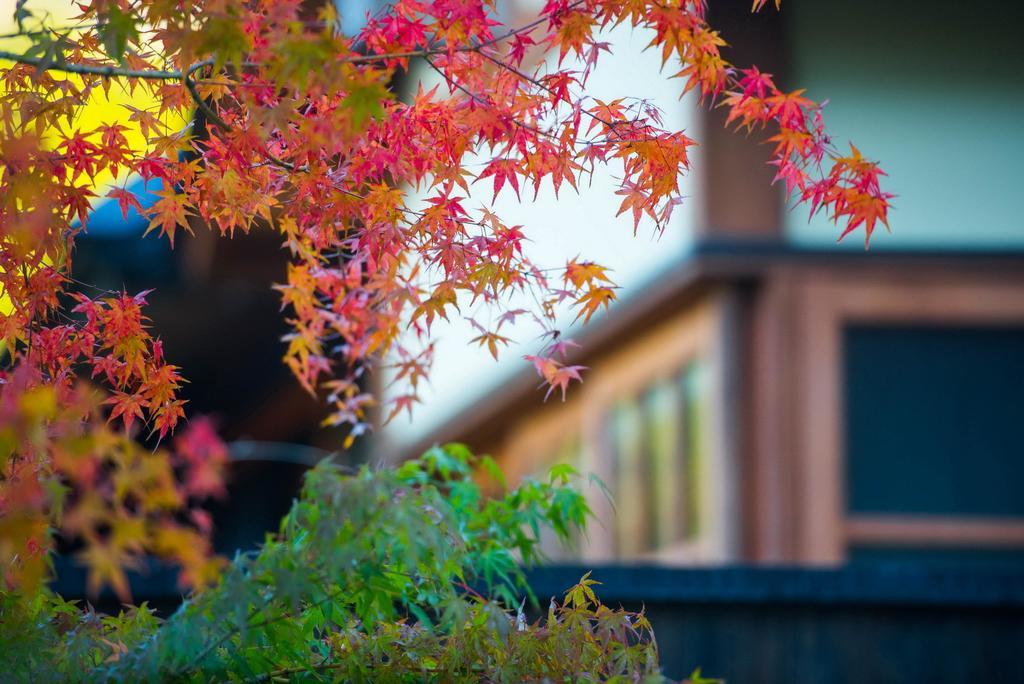 Miyama Sansou Hotell Minamioguni Exteriör bild